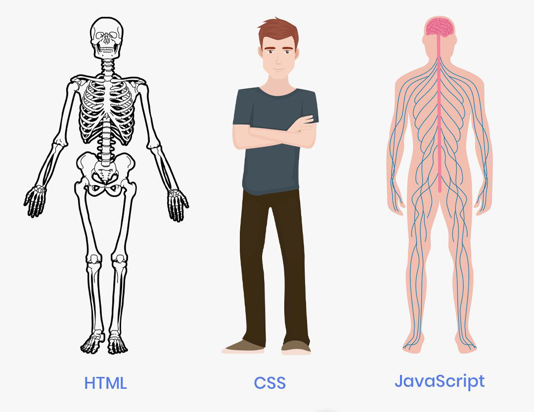 History of HTML